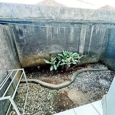 Lembayung Sari Homestay Denpasar  Luaran gambar